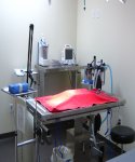 Surgical Prep & Operating Room